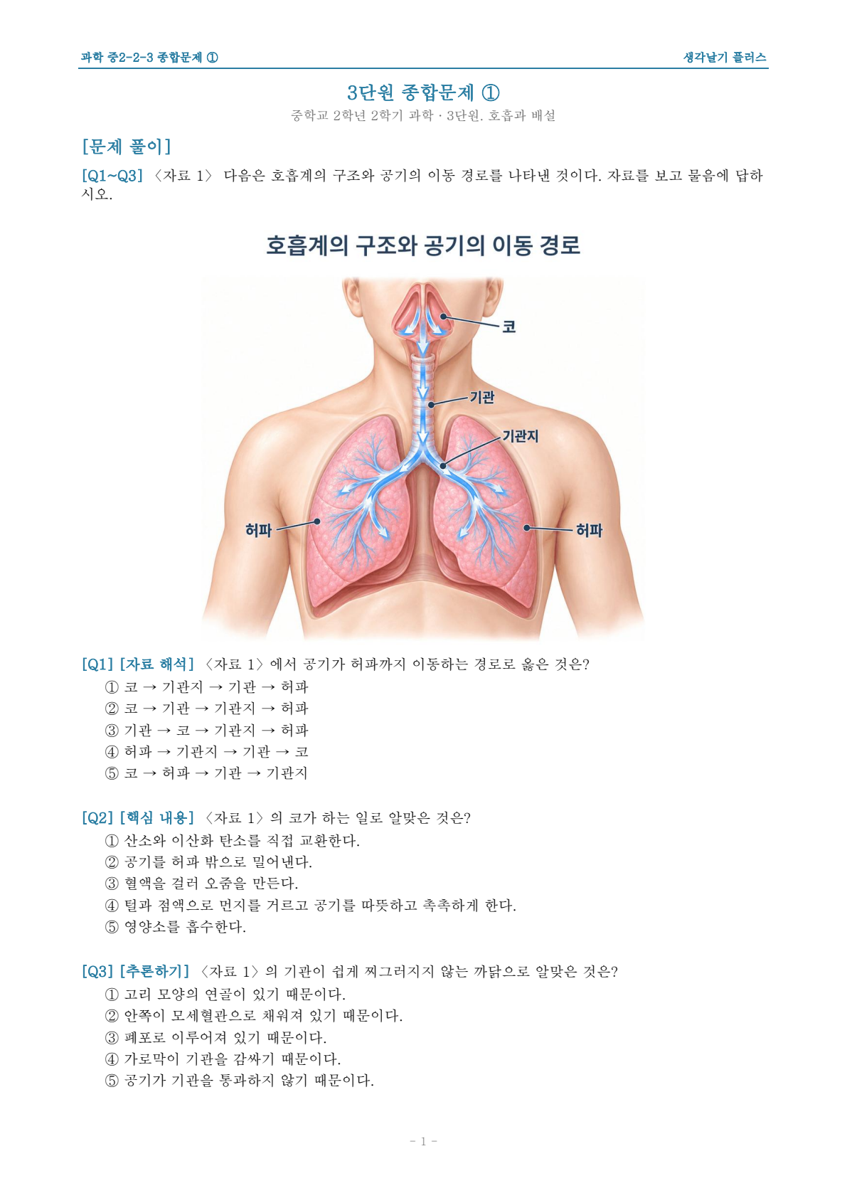 중2 2학기 과학 3단원 · 호흡계 구조·공기 이동 Q1~Q3